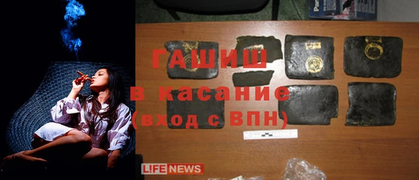 стаф Балахна